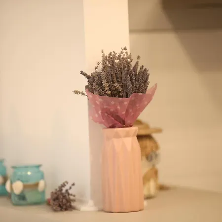Seashell Studio Mamaia Apartament *
